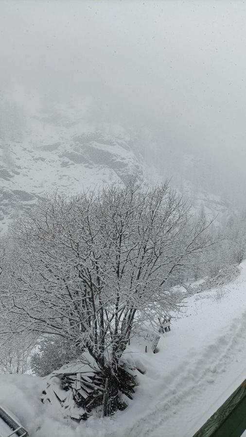 Les Hauts Du Roux Abriès Exterior foto